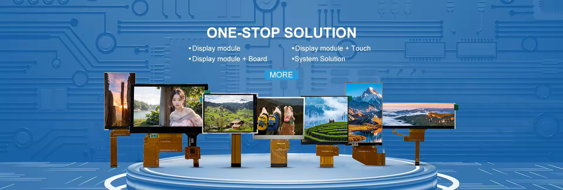 Quality TFT LCD Display Module factory